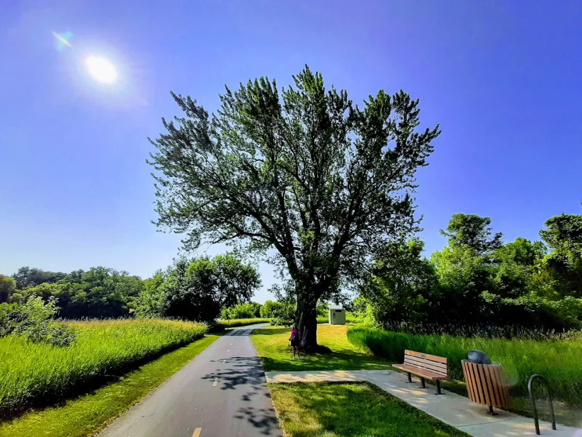 Cleary Lake Regional Park will host a walking club Monday mornings in July. (Three Rivers Park District)