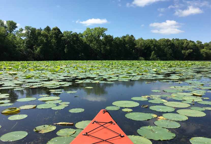 Families can learn kayaking skills at Cleary Lake Regional Park.
