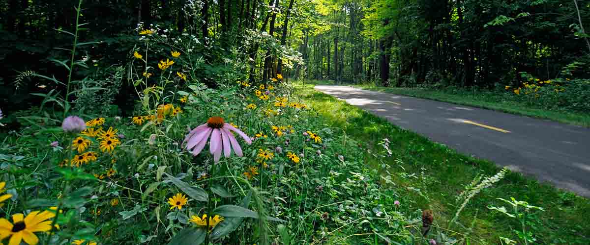 Spring Lake Regional Park is located in Prior Lake. (Three Rivers Park District)