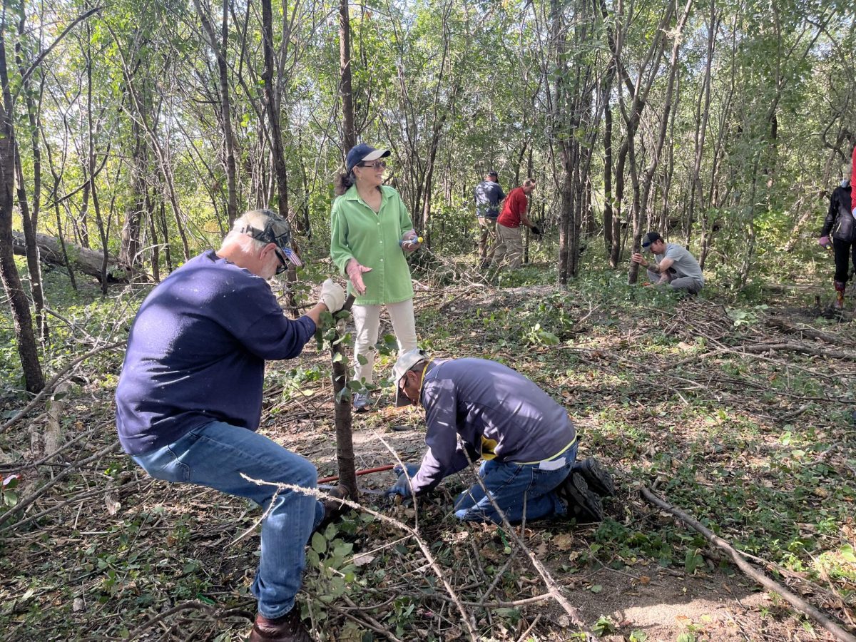 Area residents helped during the 2024 "Buckthorn Bust."