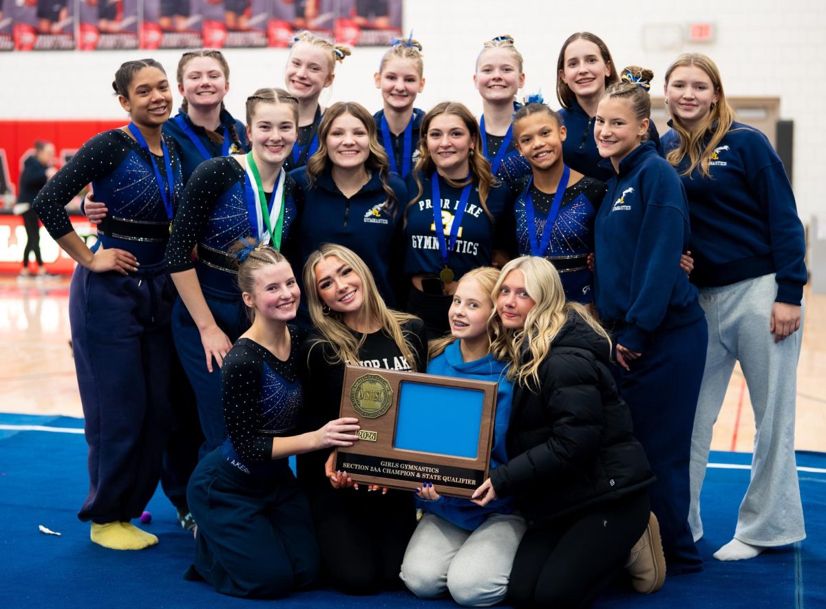 The Laker gymnastics team will compete in the state tournament this weekend.