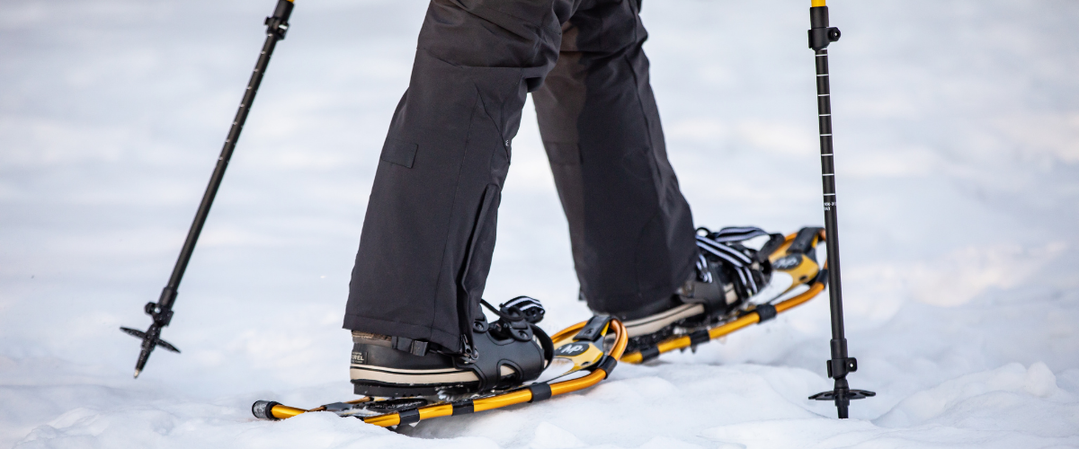 A guided snowshoe class for adults is planned at Murphy-Hanrehan Park Reserve on Feb. 11.
