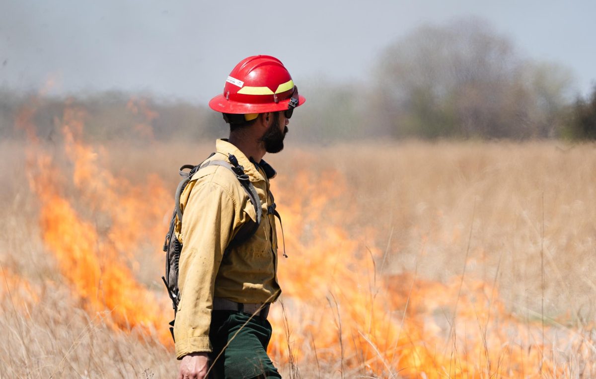 Prescribed burns will be conducted by Three Rivers Park District from now until early June in Murphy-Hanrehan Park Reserve.